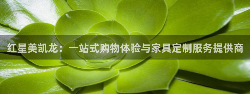 龙八国际最新官网