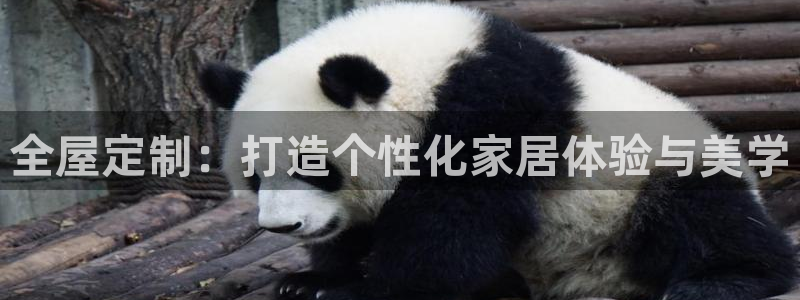龙八国际服官网站