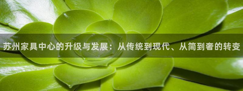 龙八国际是什么软件