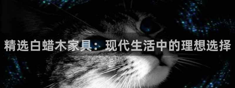 龙八国际电话