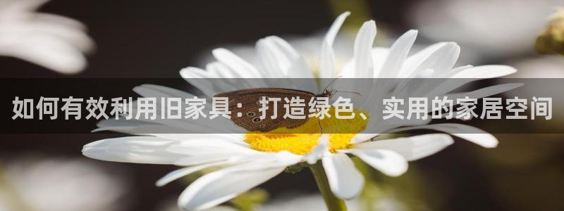 手机版龙八国际