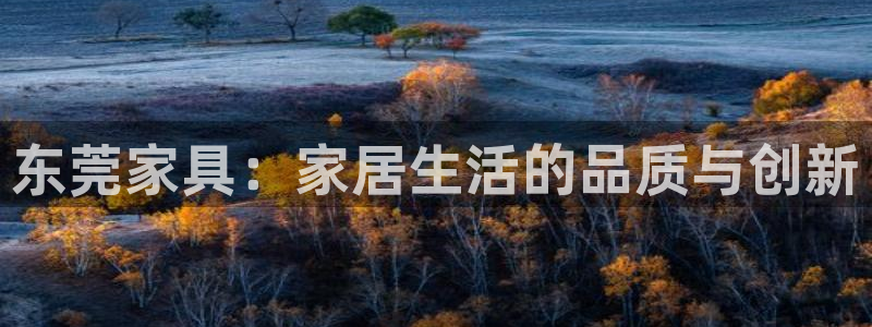不会玩龙八国际
