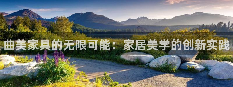 龙八国际选q18点tv