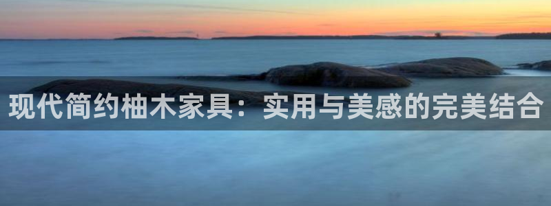 在龙八国际