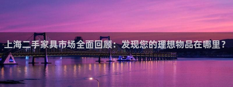 龙八国际网站多少