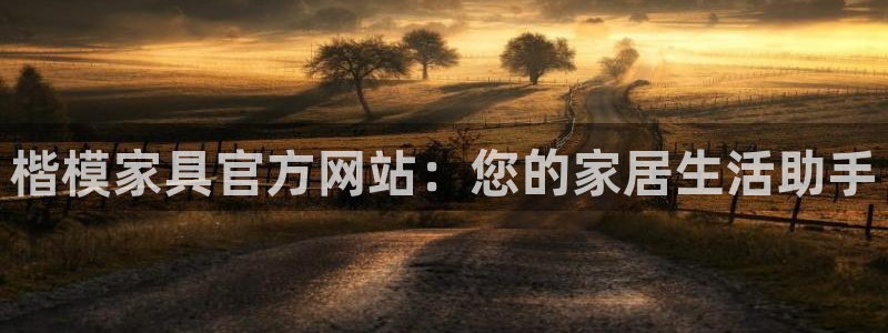 龙八国际相似的平台