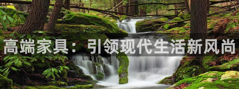 龙八国际服
