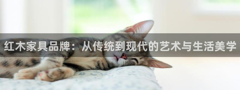 龙八国际平台手机版