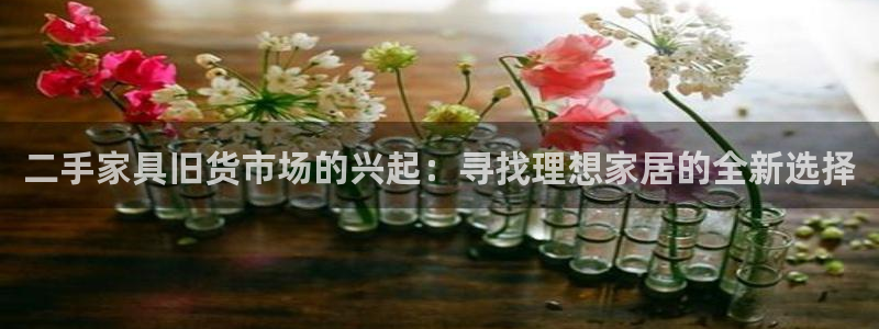 龙八国际怎么进不去了
