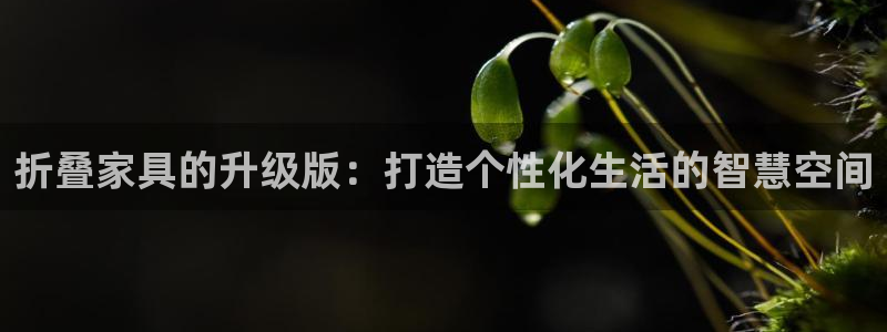 下载龙八国际手机版安装