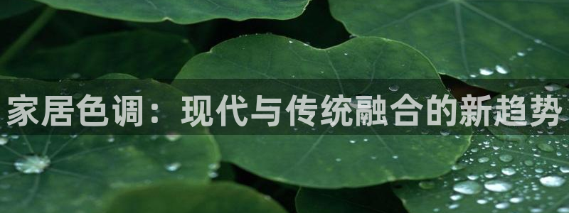 龙八国际免费下载