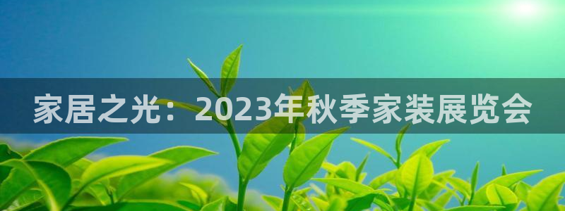 龙八国际图片