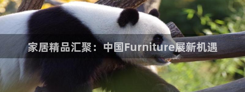 龙八国际客户端下载官网