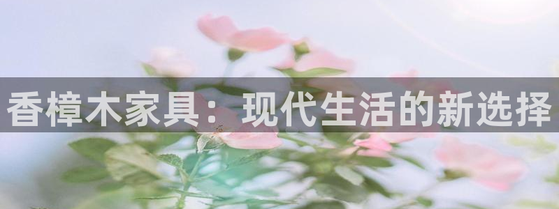龙八国际提现待审核