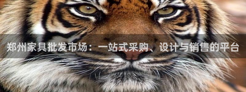 龙八国际b48点tv
