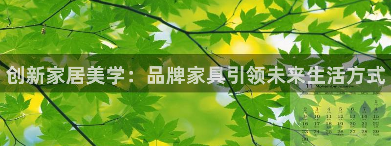 龙八国际电话