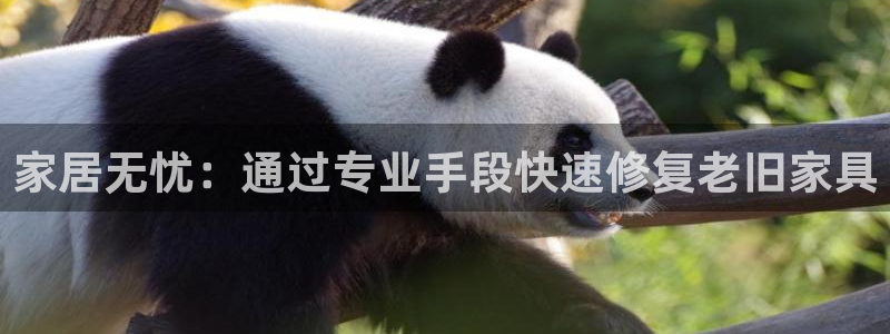 龙八国际官网进入