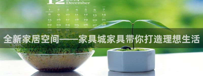 龙八国际