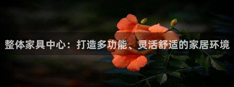 龙八国际网页