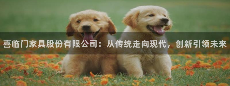 龙八国际app下载苹果