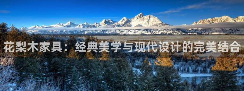 龙八国际官首页
