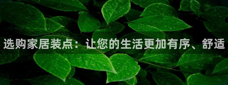 龙八国际官网客户服务