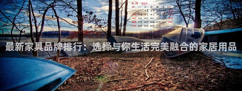 龙八国际app官方下载手机端