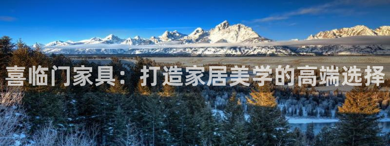 龙八国际代理app
