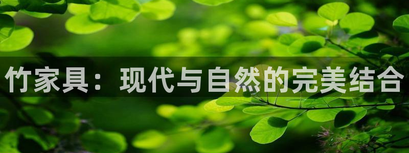 龙八国际网页登陆