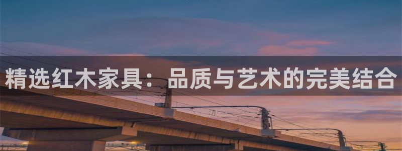 龙八国际有限责任公司