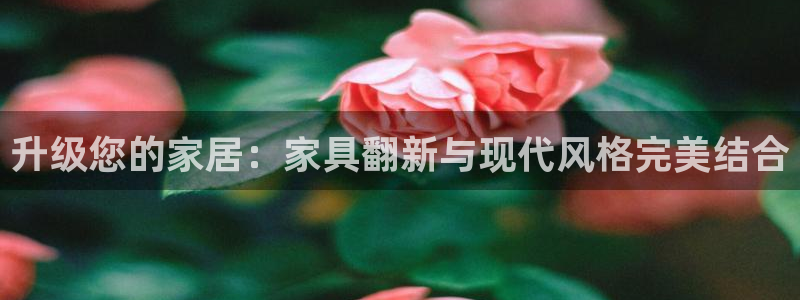 龙八国际版游戏