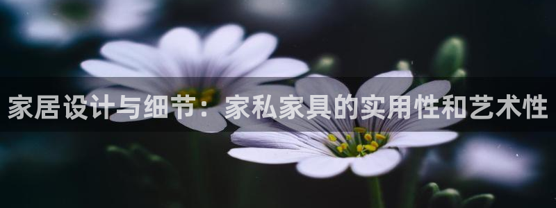 龙八国际网q18点tv