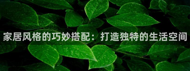 龙八国际登入