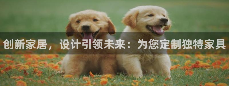 龙八国际pt老虎机官网