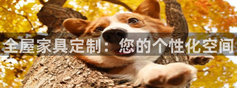 龙八国际不可思议的气球