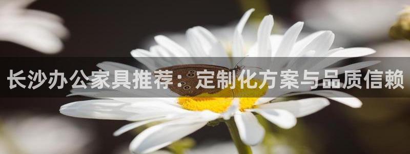 龙八国际在线网址