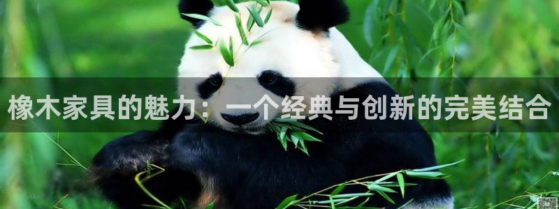 龙八国际游戏