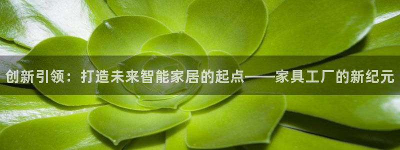 龙八国际服官网下载