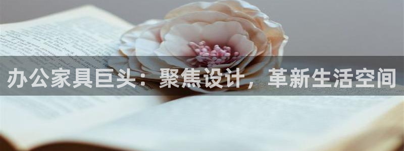 龙八国际登录网