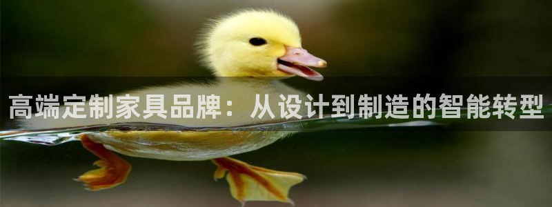 龙八国际pt娱乐