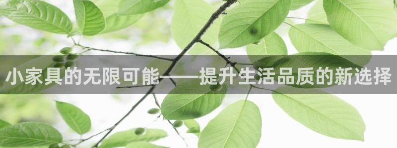 龙八国际平台安卓