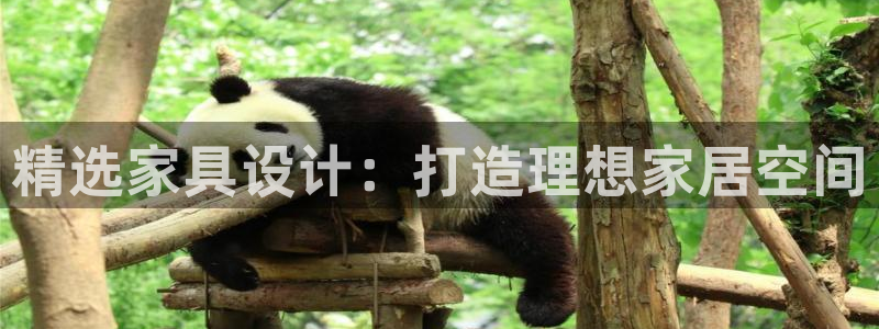 龙八国际官网入口
