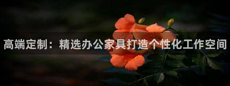龙八国际app手机版下载苹果