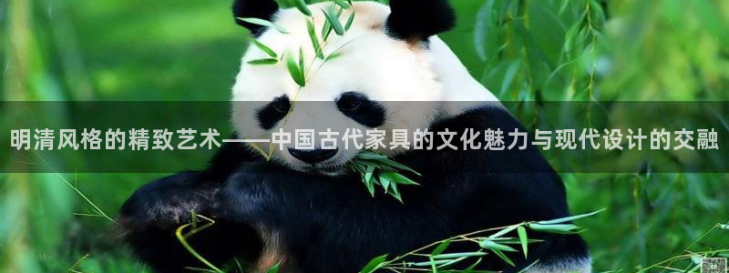 龙八国际娱乐地