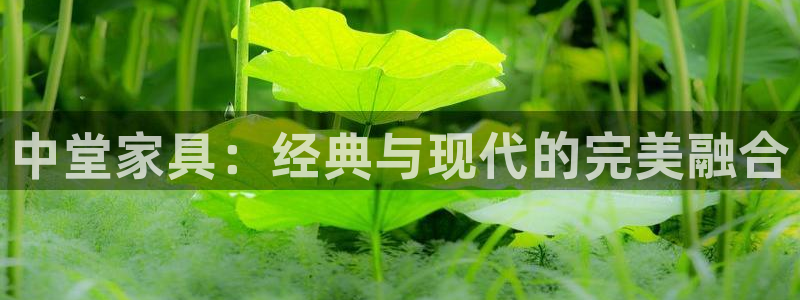 龙八国际正规吗