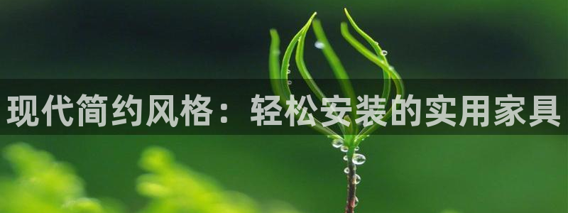 龙八国际苹果版