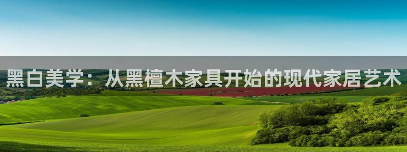 龙八国际l8520
