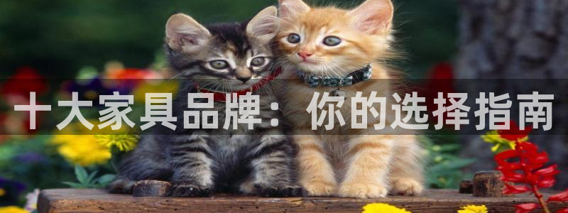 龙八国际是个什么游戏