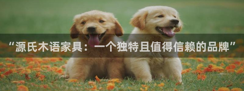 龙八国际电子游戏