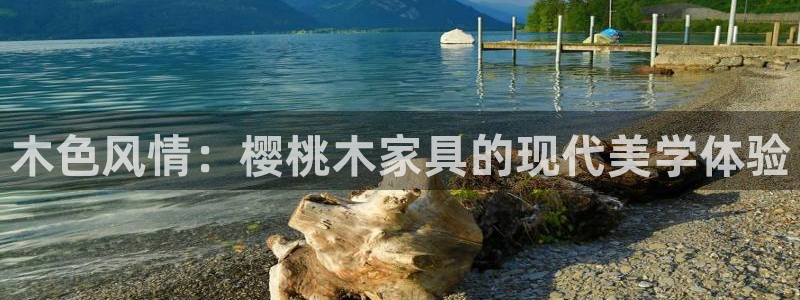 龙八国际pt